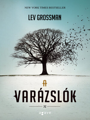 cover image of A varázslók